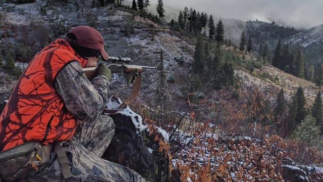 DOGMAN, HUNTERS SHARE EYE-OPENING & MIND-BLOWING ENCOUNTERS смотреть онлайн
