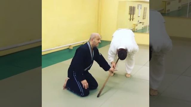 Маммадов Натиг, 5 дан, Айкидо Ёсинкан Рю, Вагоукан Додзе