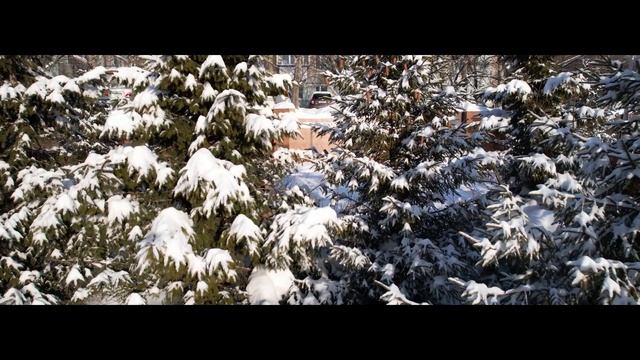 Прогулка по Петропавловску-Камчатскому. Сероглазка. Колхоз им. Ленина смотреть онлайн