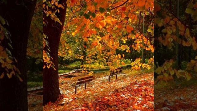Листопад./Иван Алексеевич Бунин//Аудиокнига смотреть онлайн