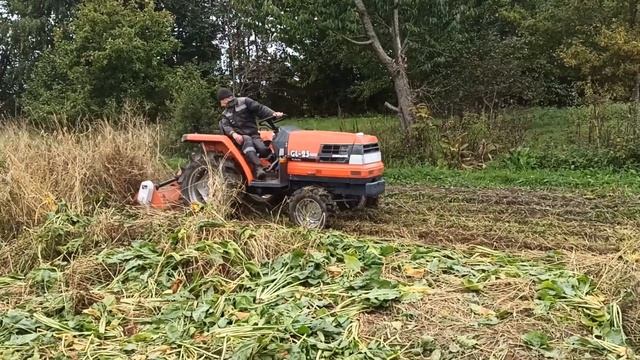 Измельчение травы и ботвы свеклы самодельным мульчером, 1 часть смотреть онлайн