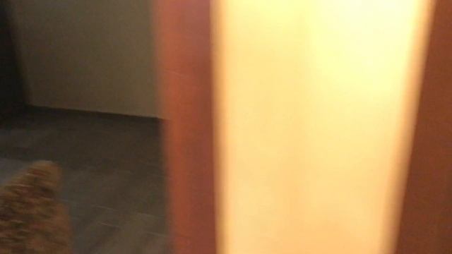 ?Санремо, Лигурия апартаменты с садом в элитной резиденции с бассейнами смотреть онлайн