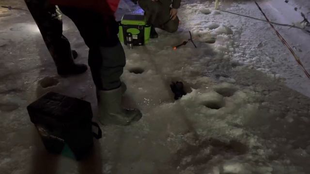 Поимка до запуска смотреть онлайн