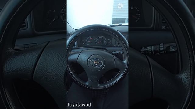 Когда не подождал бензонасос,#шурыгина смотреть онлайн