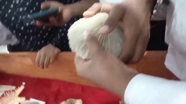 Best Musium In Canning।। ক্যানিং এর মধ্যে মিউজিয়াম?? смотреть онлайн