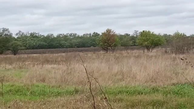 Переезд на Юг/Грецкий орех/Русская печь/ смотреть онлайн