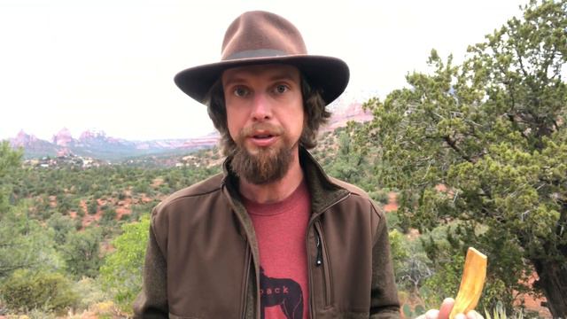 Is Palo Santo Sustainable? смотреть онлайн