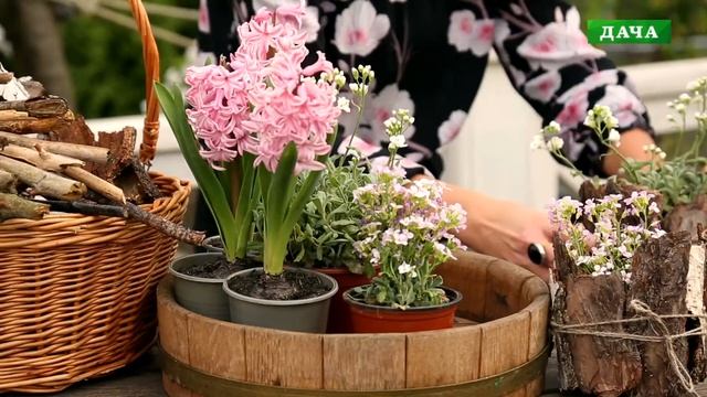 Декорирование горшков и вазы с цветами//Кашпо из природных материалов//Весенний букет смотреть онлайн