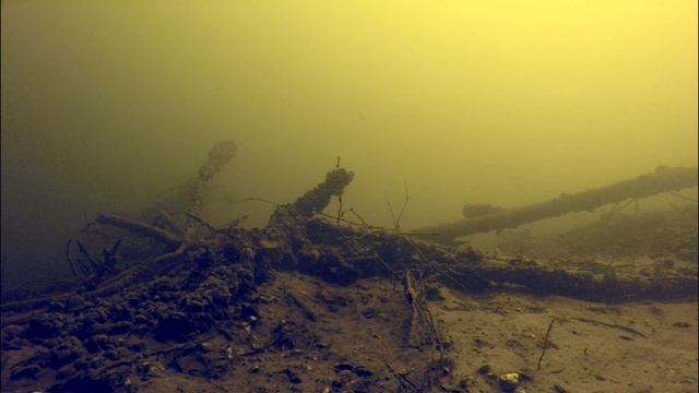 Depth biotope. Биотоп глубины. смотреть онлайн