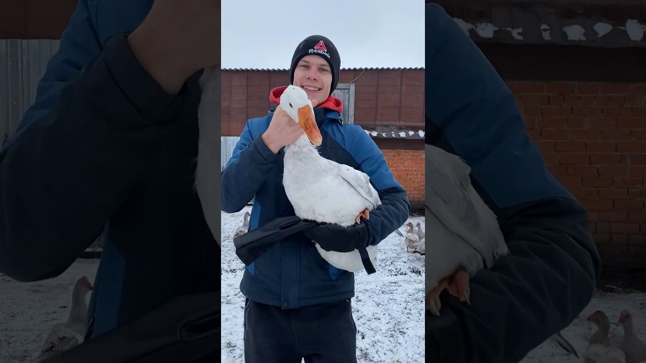 В самое сердце   Выставка Нетипичный садовод 