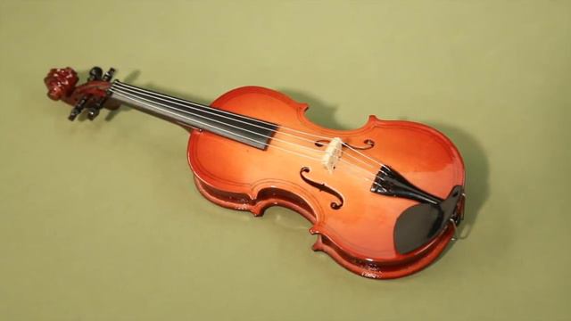 Violin Music Box Demonstration