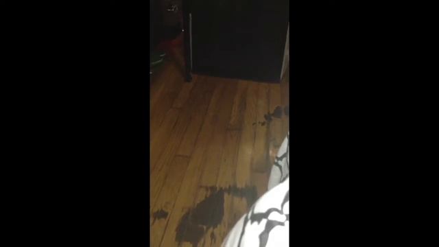 Cujo's Valentine 2014... go git ya baby! смотреть онлайн