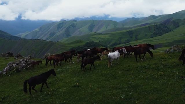 Авторский тур в ОСЕТИЮ, ЧЕЧНЮ, ИНГУШЕТИЮ от @tatarochka_blogger смотреть онлайн