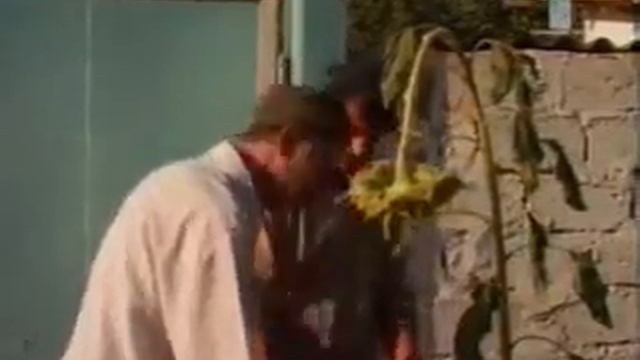 1 июня 2016 г. смотреть онлайн