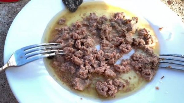 ШОК ! Черви в печени трески. Жуть_震惊! 蠕虫在鳕鱼的肝脏。 令人毛骨悚然_SHOCK! Worms in the liver of cod. It's creepy