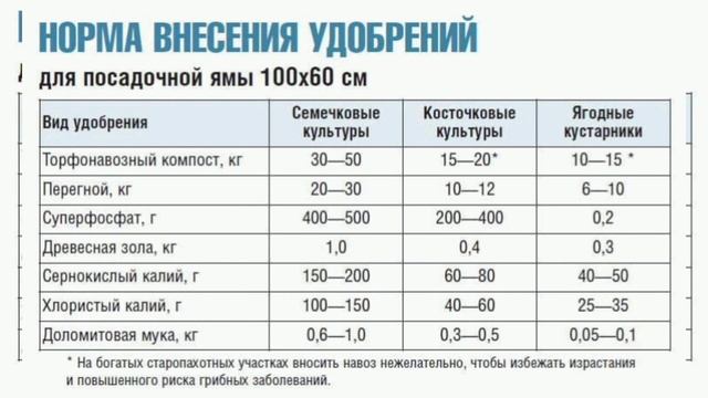 Есть подкормка, чтобы урожай картошки был в 3-4 раза больше! Делюсь удобрением, никогда не подводил смотреть онлайн