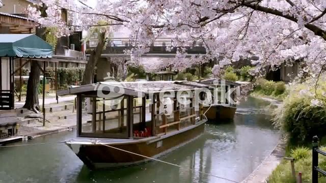 Открытие нового проекта | Сервер на 1 20 1 | Сервер на Бете смотреть онлайн