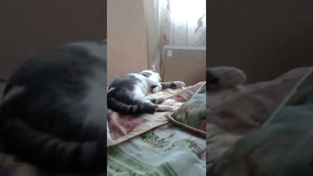 Кузя ложится спать смотреть онлайн