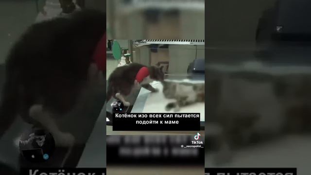 😥😥😥, слезы текут ручьём смотреть онлайн