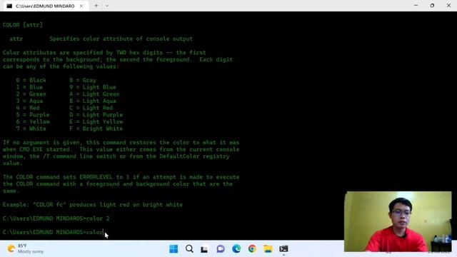 How To Change Command Prompt Background Font Color in Windows 11 | Cmd Tricks смотреть онлайн