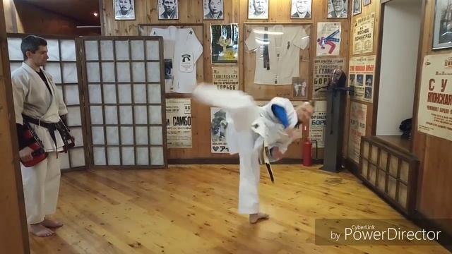 Tenshin sokusen shomen zensoku geri / Uechi ryu karate Okikukai смотреть онлайн