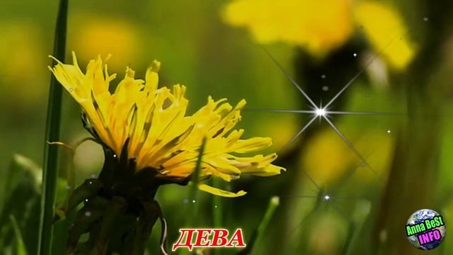 Самые удачные дни для каждого знака Зодиака. смотреть онлайн