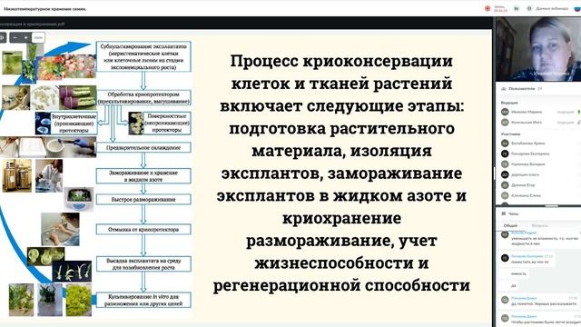 9 10 Низкотемпературное хранение семян смотреть онлайн