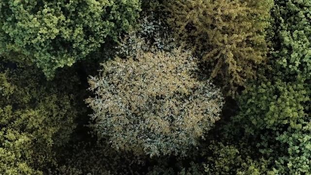 Зоя Литвинова. 85 лет смотреть онлайн