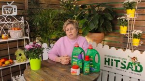 Кобея ➡ Как вырастить кобею в средней полосе? ? Видео инструкция hitsadTV