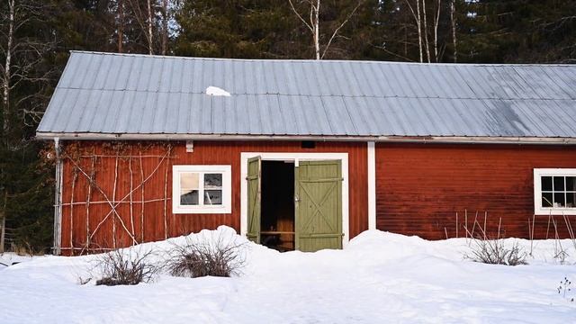 Everyday life in the house under the northern lights | Ep. 38 смотреть онлайн