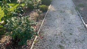 Дорожки на даче! Из чего сделать дорожки на участке? | Дачный влог