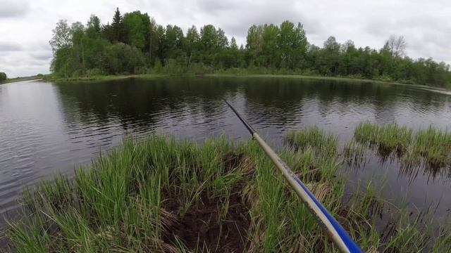 Открытие водно-моторного сезона! Ловля крупной КРАСНОПЕРКИ на поплавок! Ловля Щуки на наживки! смотреть онлайн