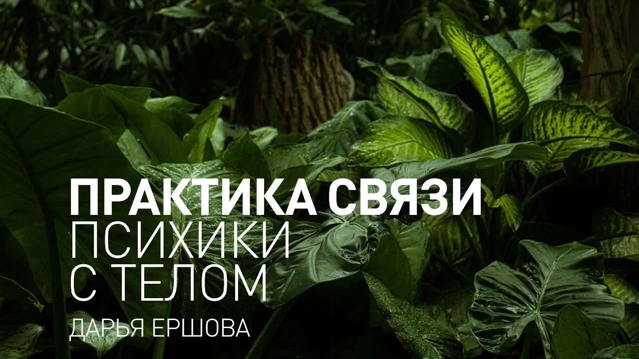 Майндфулнесс упражнение. Практика связи психики с телом. смотреть онлайн