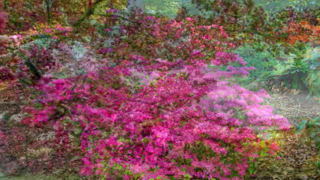 Возвращение к Богу. Самоуважение.