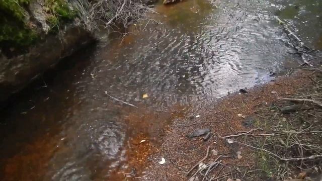 Байдарочный поход Вуокса озеро Соколиное - Лосево 2020 г. смотреть онлайн