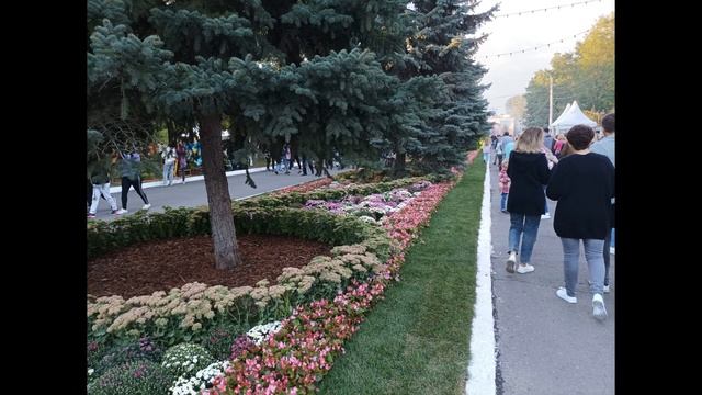 709. Белгород в цвету 4 сентября 2022. смотреть онлайн