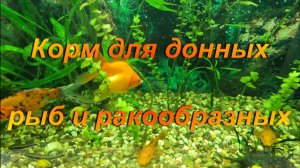 Корм для донных рыб и ракообразных.