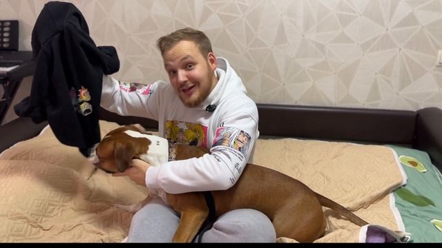 МОЯ СОБАКА НАПАЛА НА ЩЕНКА, ОНА ЕГО ЗАГРЫЗЛА? смотреть онлайн