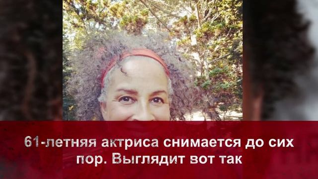 Занятные факты про "Коммандо" (1985) смотреть онлайн