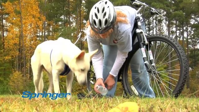 Springer Bike Jogger - Made In Norway!
