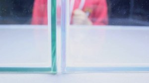 Отличия аквариумов из осветленного (optiwhite) стекла и обычного марки М1