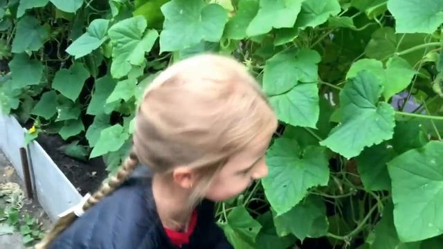 Путешествие №2. Курган смотреть онлайн