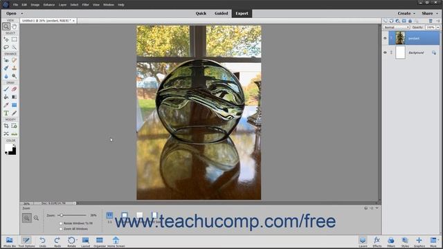 Photoshop Elements 2020 Tutorial Color Management Adobe Training