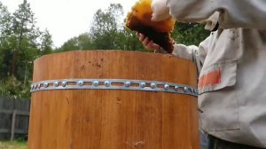 Улей-колода 2021 Как мы мед добывали?