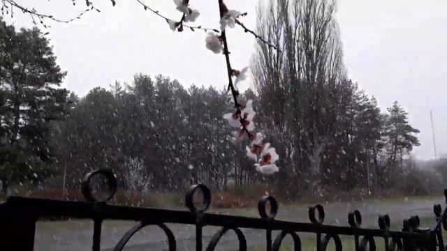 Весна со снегом 26 апреля смотреть онлайн
