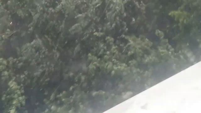 Кот и гром!!! Какой чудесный день..!!! Гроза в Москве... смотреть онлайн