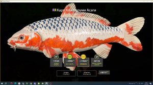 МЕДНОЕ НА ОГРОМНЫЕ КРЮЧКИ РАБОТАЕТ? В РУССКОЙ РЫБАЛКЕ 4 СТРИМ РОЗЫГРЫШИ РР4