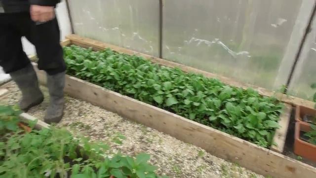 Будни: Покупка семян \ Игры детей\ Тома засыпает сама \15,05,2018, смотреть онлайн