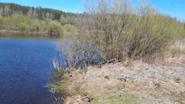 2 Дня рыбалки. Поиск перспективных мест!!! Рыбалка на Березине #рыбалка #фидер #лещ #плотва смотреть онлайн