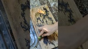 DIY электрические узоры на дереве или что такое фигуры Лихтенберга